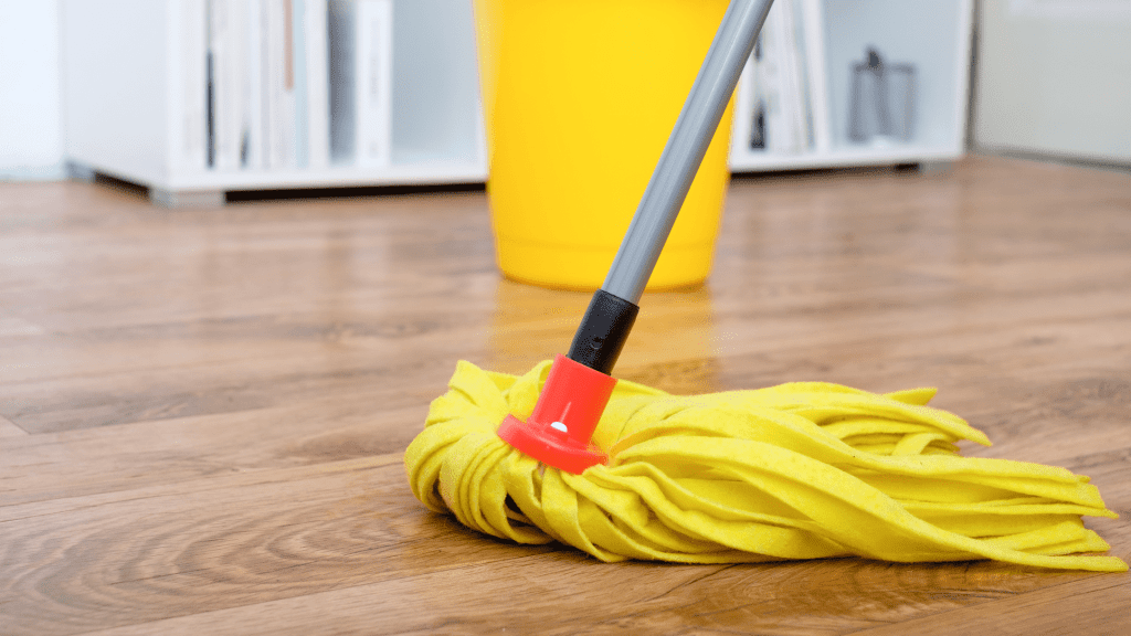 Favorite Mops for Cleaning Homes, Featured Image