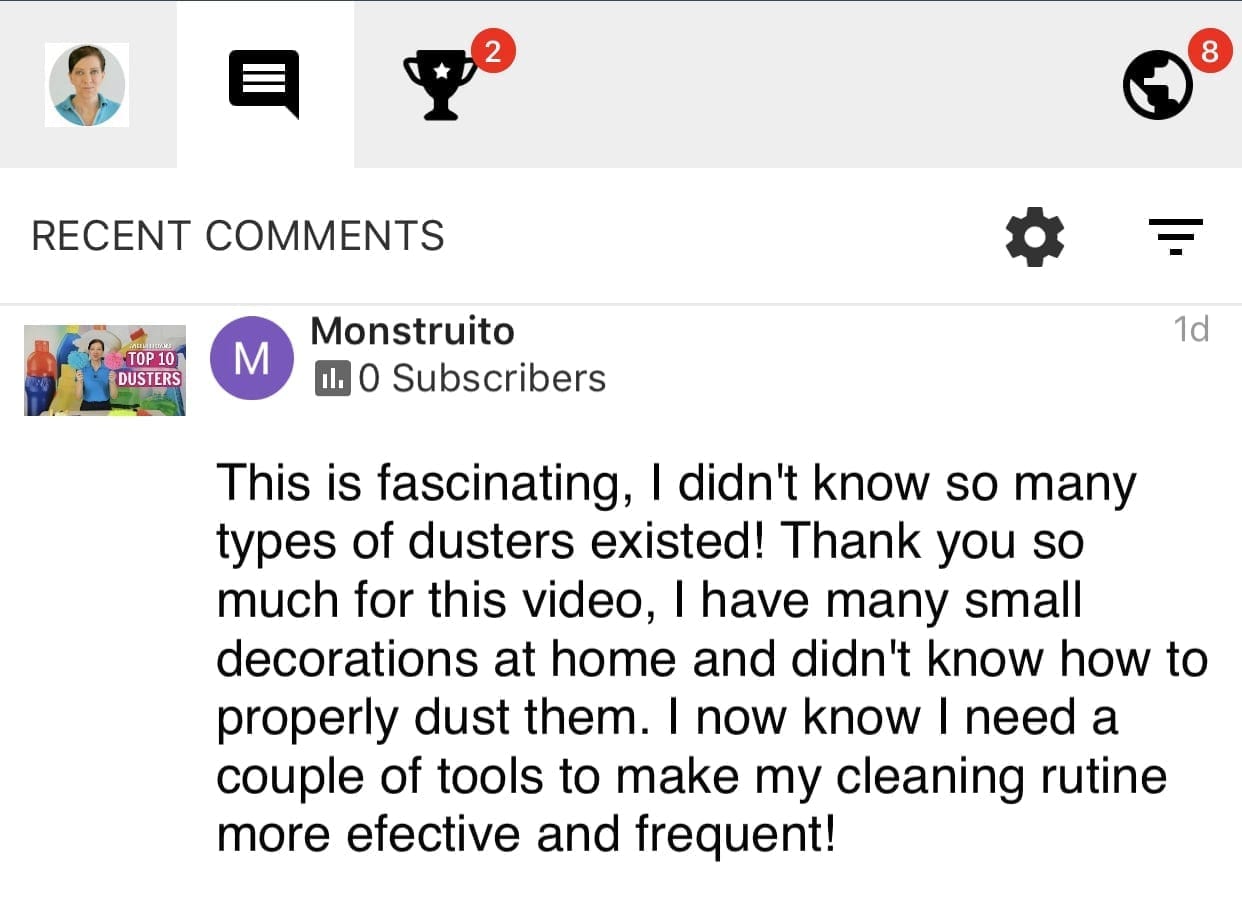 I didn't know so many types of dusters exicted, Savvy Cleaner Product Review Testimonial